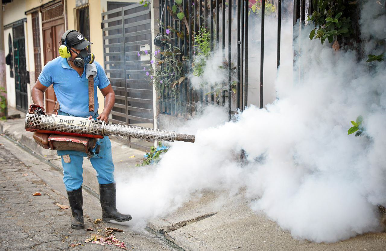 La Pancarta - MINSAL: El Salvador implementa medidas contra el dengue